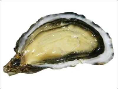 La plus petite des huîtres est désignée par le calibre zéro.