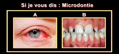 Faites votre choix !