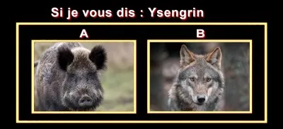 Faites votre choix !