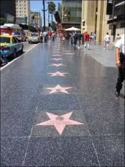 Sur les trottoirs d'Hollywood Boulevard, l'on peut voir 1 600 étoiles, sur lesquelles figurent des noms de célébrités.