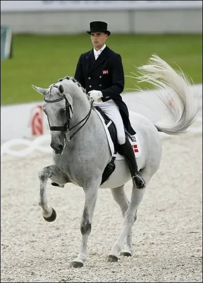 Comment s'appelle cette discipline ?