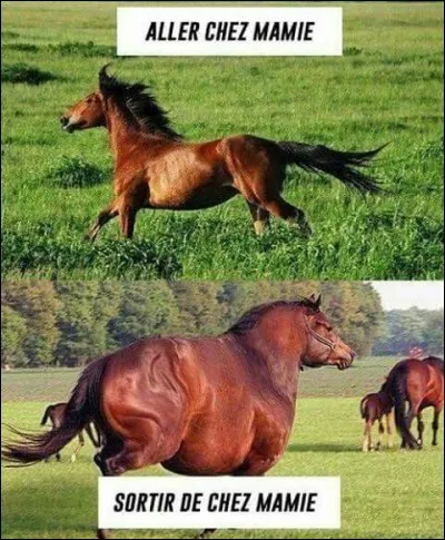 Comment est-il devenu aussi gros ?