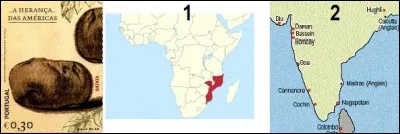 Dans quel pays la pomme de terre fut-elle importée, entre la fin du XVIe siècle et le début du XVIIe siècle, par les Portugais ?