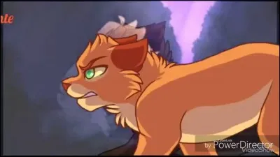 Il est lieutenant du clan de l'Ombre, dans le livre "Nuit Étoilée". C'est...