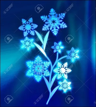 Cette magie est celle de...