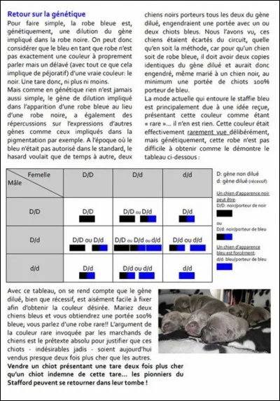 Quelle maladie incurable et indétectable touche les bleus /sables etc. ?