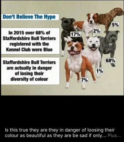 Quelle robe n'est pas acceptée parmi ces choix ?