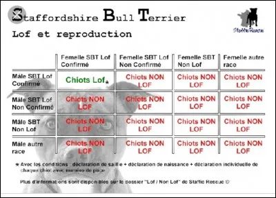 Faut-il que le chien soit confirmé pour garder son lof ?