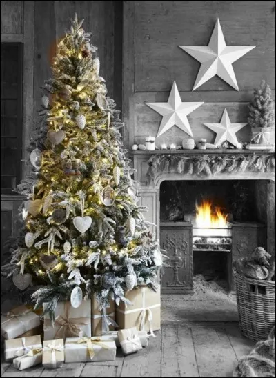 Nous attendons, au coin du feu, le plateau de fromage qui se prépare en cuisine ! On nous annonce un magnifique fromage en forme de cur, le connaissez-vous ?