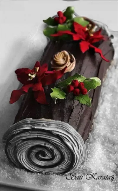 Et voilà la bûche tant attendue, décorée avec de somptueuses fleurs rouges. Lesquelles ?