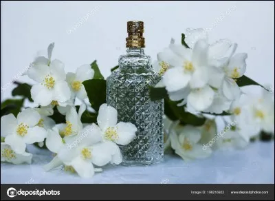 Ton parfum du jour sent...