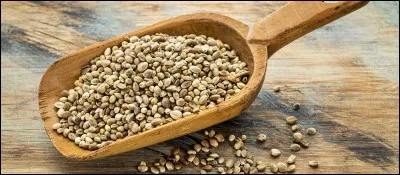 Comment appelle-t-on ces graines ?