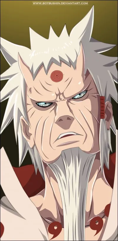 Quel pouvoir donne l'ermite Ricudo à Naruto ?