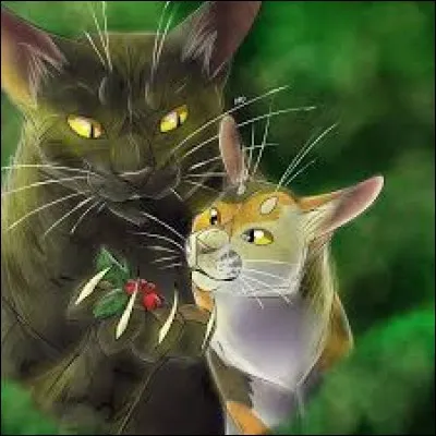 Quel est le nom du chaton qu'il a essayé de tuer par empoisonnement ?