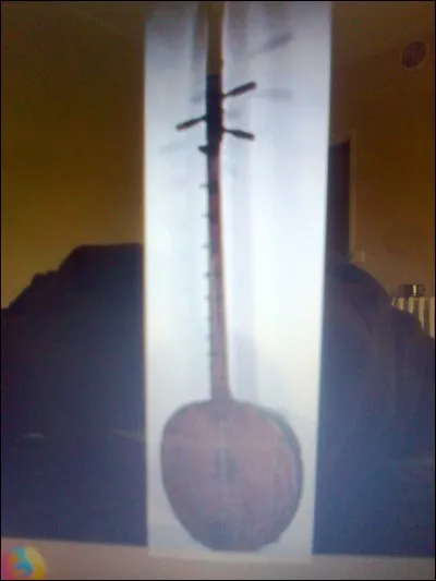 D'où est originaire l'instrument de musique chapey ?