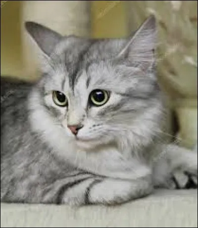 Quel est ton grade ?