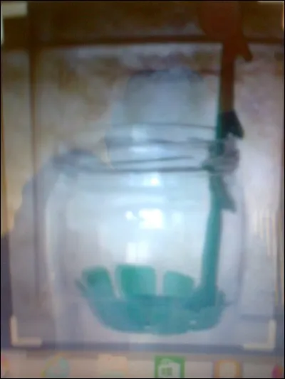 Comment s'appelle l'objet en plastique pour remonter les cornichons dans un pot ?