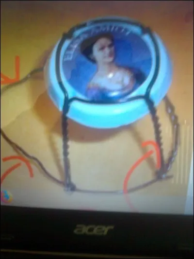 Comment s'appelle le fil de fer, qui tient la capsule des bouteilles de champagne ?