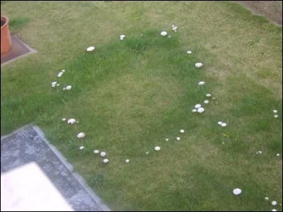 Quel est le nom de cette maladie ?