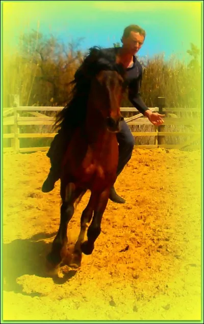 Quelle est cette discipline ?