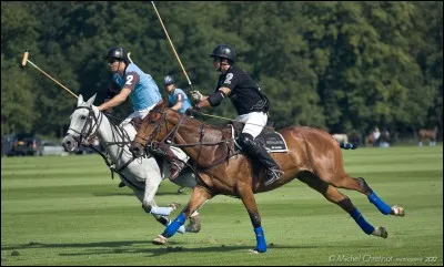 Comment s'appelle cette discipline ?