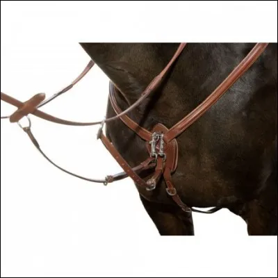 Comment s'appelle cet accessoire ?