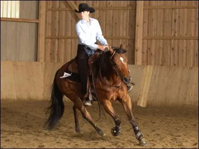 Quelle est l'origine de la monte western ?