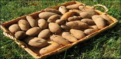 Si je vous dis que ces patates, une variété actuelle, se cultivent dans un pays dont la capitale est Helsinki, quelle illustration choisirez-vous pour désigner le pays ?