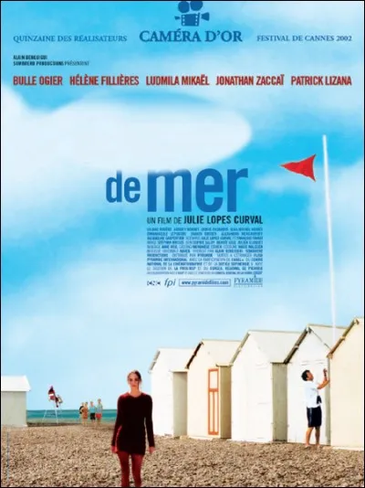 Quel est ce film ?