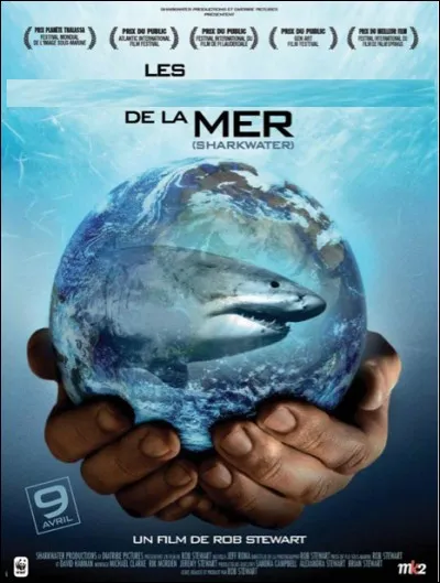 Quel est ce film ?