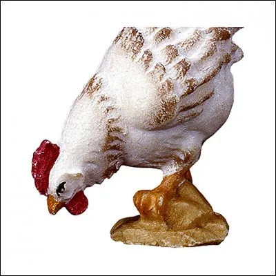 Combien de temps les poules peuvent-elles tenir sans boire d'eau ?