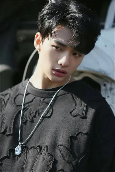 Votre saison favorite :