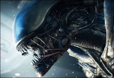 Peur, trouille, effroi, chocottes !