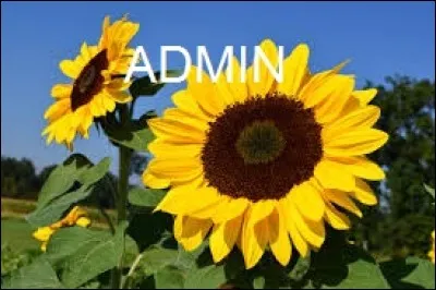 Pour corriger un quiz, il faut avoir le statut 'Admin des groupes'.