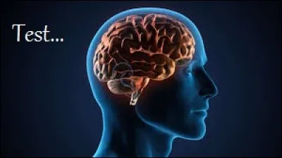 Il est possible d'imprimer des tests de personnalité.