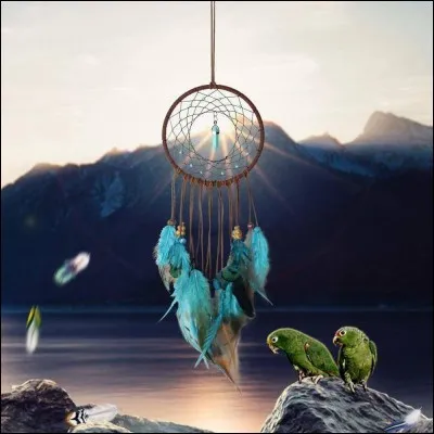 Est-ce vrai que tous les attrape-rêves ont des plumes ?