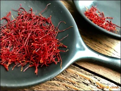 Quelle épice est cultivée dans le Gâtinais en France ?