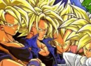 Test Qui es-tu dans DBZ ?