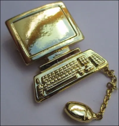 L'illectronisme d&eacute;signe l'illettrisme num&eacute;rique.