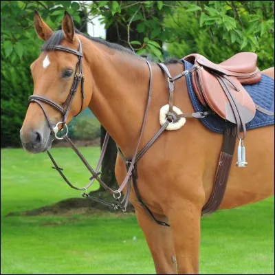 Comment appelle-t-on cela ?