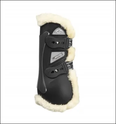 Comment appelle-t-on cette protection ?