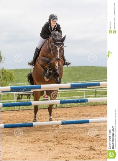 Quel est cet obstacle ?