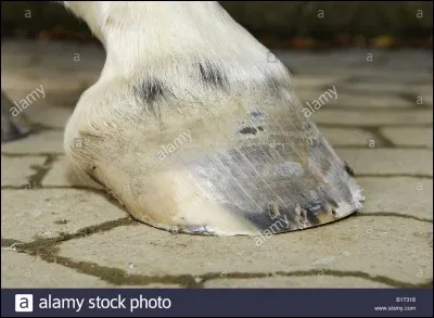 Comment appelle-t-on cela ?