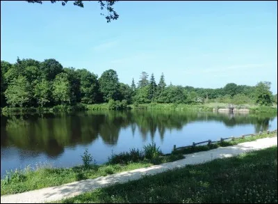 Quand tu as du temps libre, que fais-tu ?