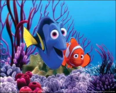 Dans quelle ville Marin doit-il se rendre avec Dory pour retrouver son fils Nemo ?