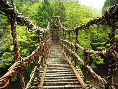 Comment s'appelle ce pont situé au Japon, dans la vallée d'Iya ?