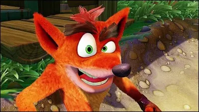 Qu'est-ce qu'un bandicoot ?
