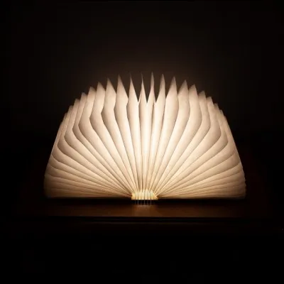 Silver Bullet est un personnage du livre...