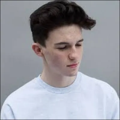 Quel duo partage un duo avec Petit Biscuit sur la chanson "Demain" ?