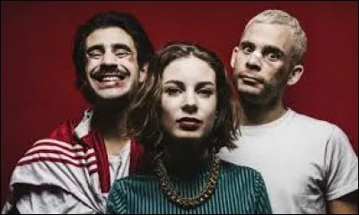 Quel chanteur partage un duo avec Therapie Taxi sur la chanson "Hit Sale" ?